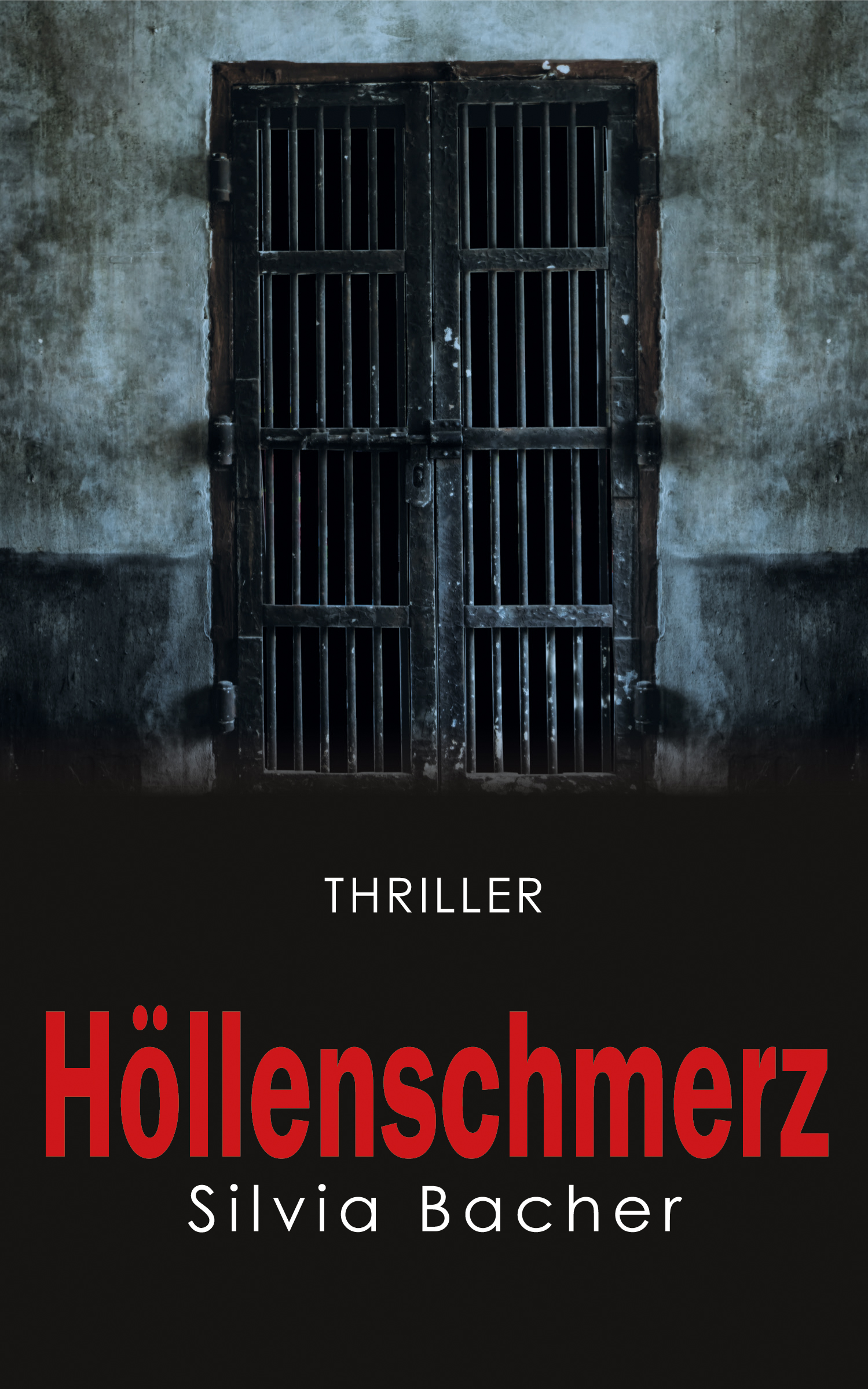 Hoellenschmerz Buchcover